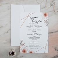 catalog invitatii polen